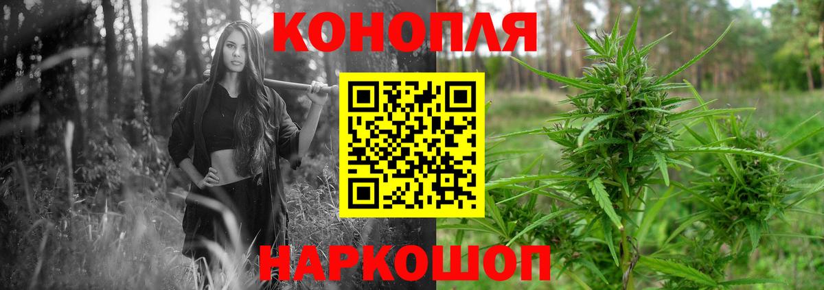 Бошки марихуана планчик  Бошки Шишки марихуана  Вход с VPN  Сальск 